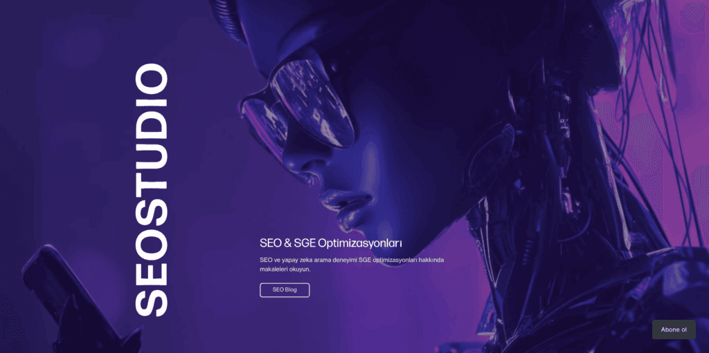 SEO Studio 1 seo seo studio web tasarım