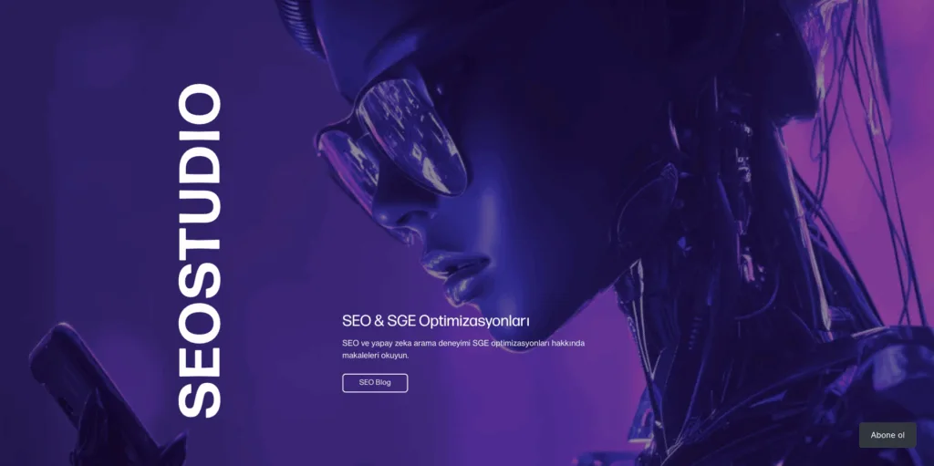 SEO Studio 1 seo seo studio web tasarım
